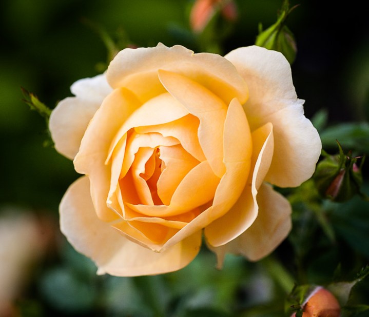 130725_0028-Redigera